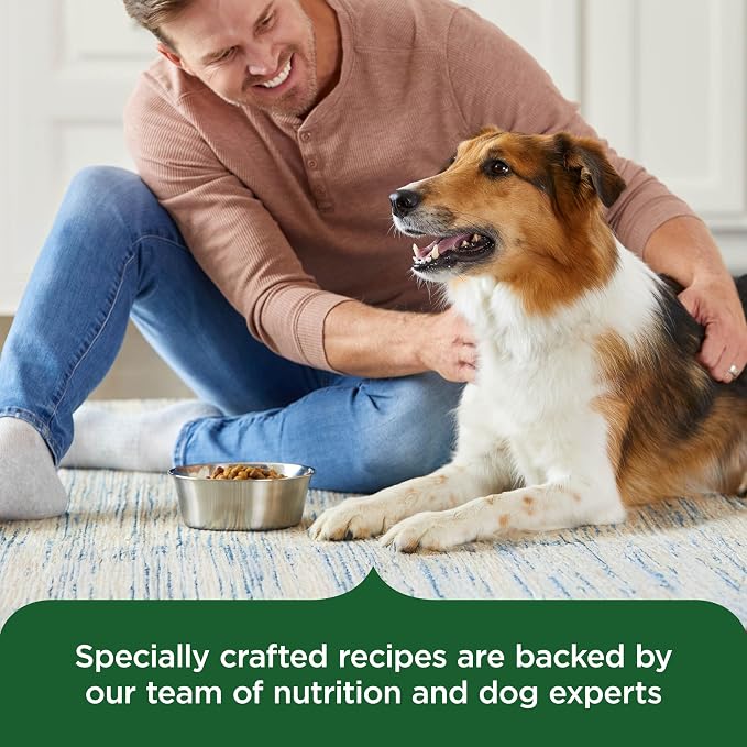 Nutrish Rachael Ray Adult Dry Dog Food Real Chicken & Veggies Recipe, 5 lb. Bag (Pack of 2)