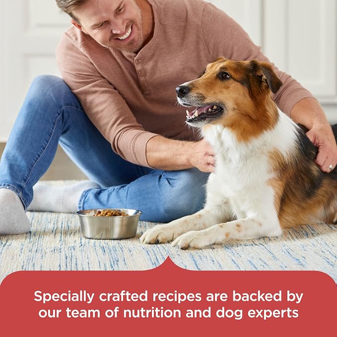 Nutrish Salmon Dry Dog Food, 26 lb. Bag (Rachael Ray) | Complete & Balanced Nutrition for Small, Medium and Large Breed Adult Dogs, Veterinarian Reviewed Formula