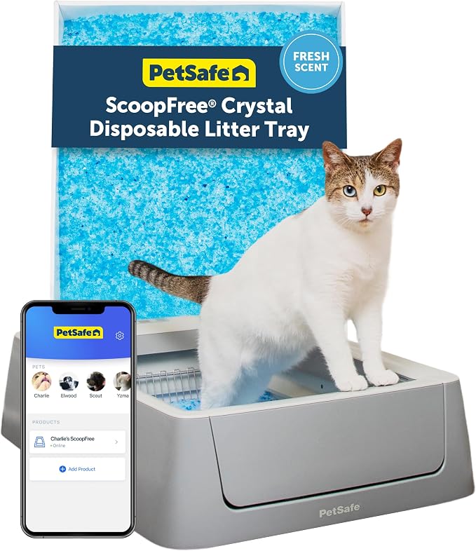 PetSafe ScoopFree Complete Smart Self-Cleaning Cat Litter Box - WiFi & App Enabled - Hands-Free Cleanup with Disposable Crystal Trays - Less Tracking, Superior Odor Control - Includes Disposable Tray | 2.4 GHz WiFi & App Enabled, Hands-Free Automatic C...