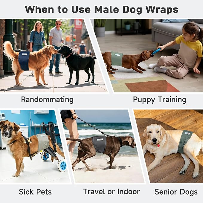 Langsprit Small Male Dog Diapers for Doggie Puppy,Reusable Belly Bands for Male Dogs Wraps,Washable Doggy Dog Diapers Medium Large in Incontinence 5 Pack (Dark Color, Medium)
