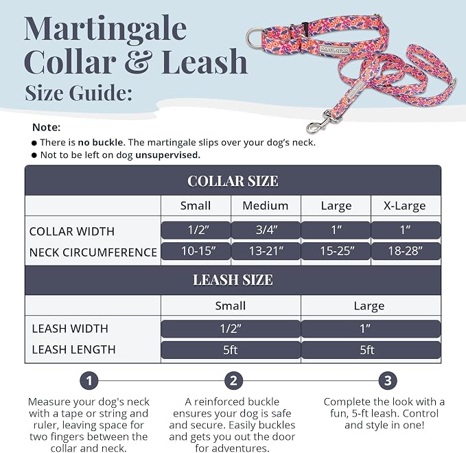 Lucky Love Dog Martingale Collar & Leash Set No Slip Cute – Rosie, Large