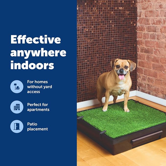 PetSafe Pet Loo Portable Dog Potty, Medium | Gass Mat Toilet Alternative for Puppy Pads, Perfect for House Training and Small Spaces, Less Odor and Conveneint Clean-Up