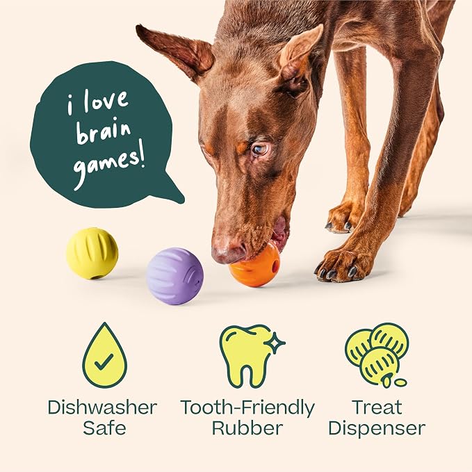 WOOF Flyball Fetch Ball & Dog Treat Dispenser Toy, 3-Pack | 2-in-1 fetch ball, fits standard ball launchers, treat dispenser, durable rubber, dishwasher safe, puzzle enrichment
