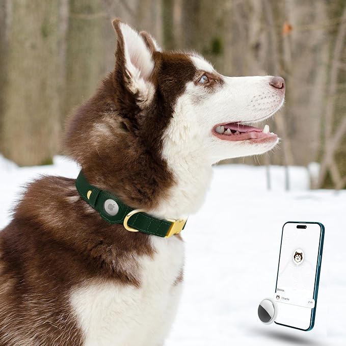 Leather Airtag Dog Collar - Soft Tracking Dog Collar with Apple AirTag Holder and Metal Buckle - Safety GPS Pet Collars for Small Medium Large Dogs Puppy Pink Red (Green, M, 14"-18" Neck Fit)