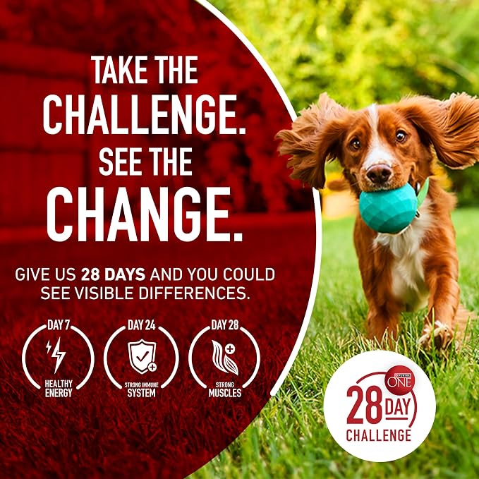 Purina ONE Dry Dog Food Lamb and Rice Formula - (Pack of 4) 4 lb. Bags | Natural recipe with real lamb as the first ingredient, and a microbiome balance with prebiotic fiber for gut & immune support