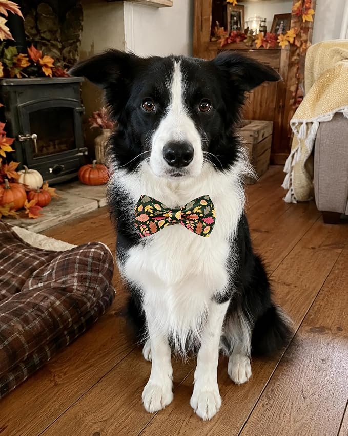 PET SHOW 5 Pack Dog Bowties Fall for Large Dogs Slide on Collar