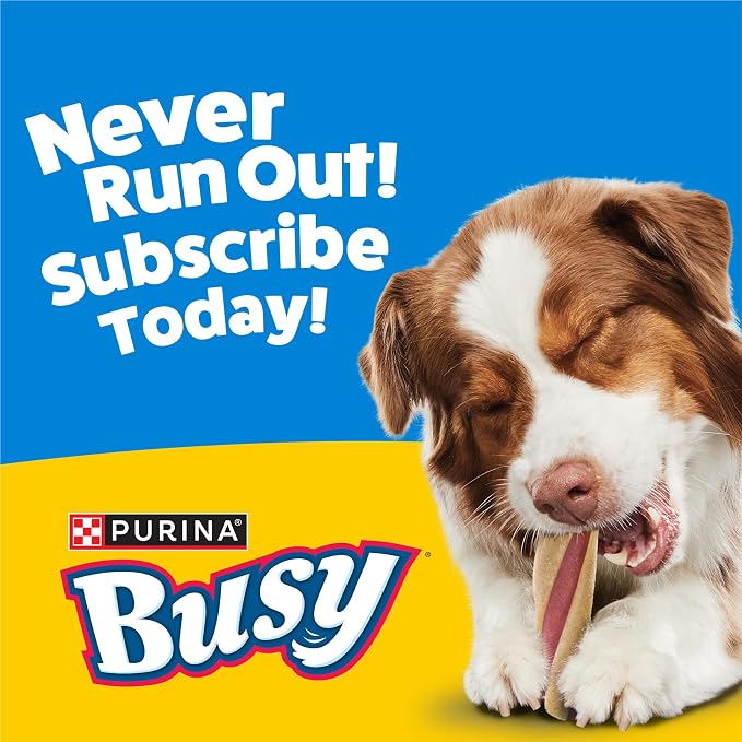 Purina Busy with Beggin Twisted Large Dog Treats, 2 ct. Pouch, Pack of 6 | Bacony dog treat wrapped around long-lasting Busy chew, rawhide free with real meat, for large dogs 35+ lbs