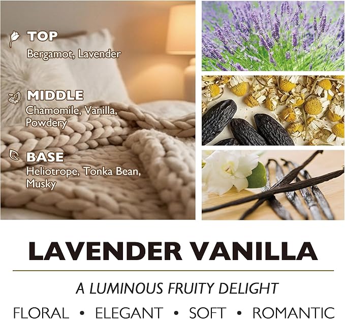 HomeLights Large jar Candle | 3-Wick Long-Lasting Scented Candles, 34oz Natural Soy Wax Candle for Home Scented, Bohemian Natural Textures Gifts for Women & Men, Lavender Vanilla