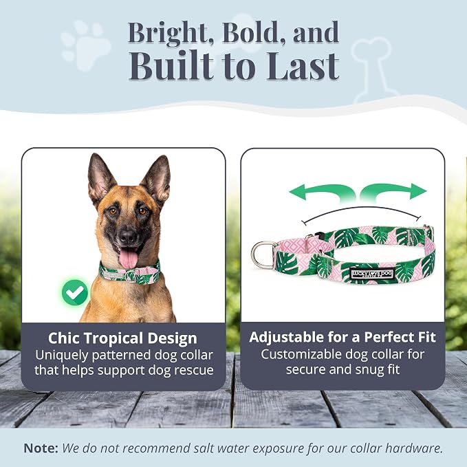 Lucky Love Dog Martingale Collar & Leash Set No Slip Cute – Laguna, Large