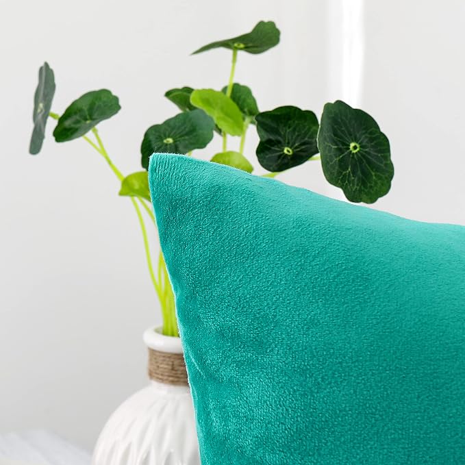 NiNi ALL Aqua Green Velvet Throw Pillow Covers 16x16 Pack of 2 Decorative | Couch Soft Solid Boho Cushion Squar Pillow Cases for Chair Sofa Bedroom Farmhouse Living room Modern Luxury Home Christmas