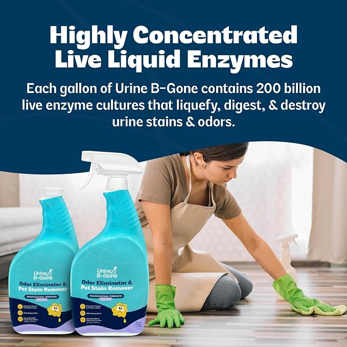 Urine B-Gone Enzyme Cleaner for Human & Pet Urine, Lavender, 32 oz, 2-Pack | Two 32 oz bottles of enzyme cleaner for human, cat and dog urine on laundry, carpets and more; lavender scent.