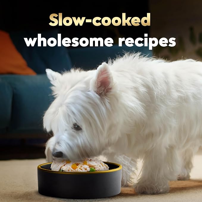 Cesar Wholesome Bowls Wet Dog Food, Chicken & Sweet Potato, 3 oz, 10 Count | Sweet Potato & Green Beans Recipe, real chicken #1 ingredient, slow-cooked, easy to digest, ready-to-serve bowl