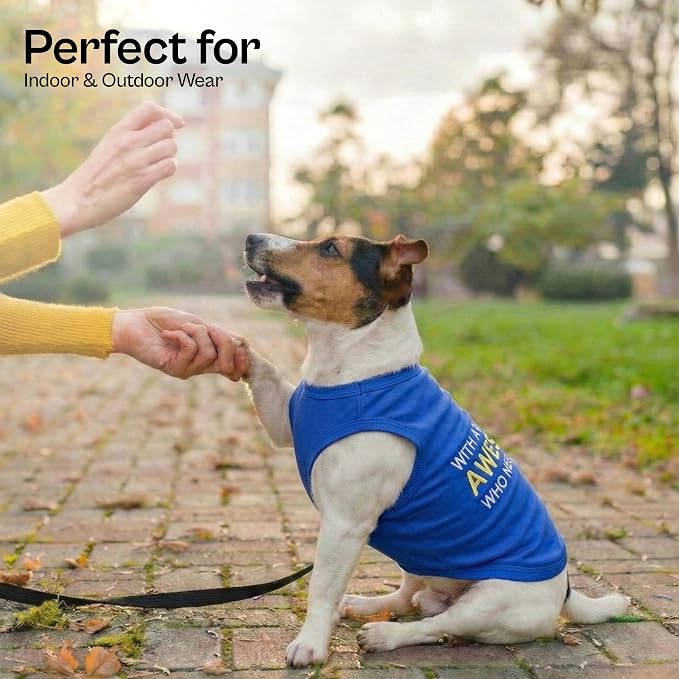 Parisian Pet Dog T-Shirt - Embroidered “ Awesome “ Shirt - Pure Cotton and Lightweight Dog Clothes - Blue Sleeveless Pet Tee Shirts - Cute Puppy Clothes - Shirts for Small Dogs Boy - S