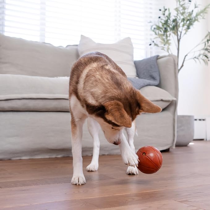 Outward Hound by Planet Dog Basketball, Durable Treat-Dispensing Dog Ball, Interactive Fetch Toy, Orbee-Tuff, Mint Scented, BPA-Free, for Indoor & Outdoor Play, Brown