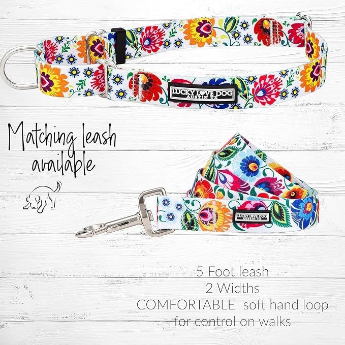 Lucky Love Dog Martingale Collar & Leash Set No Slip – Ladybird, Medium