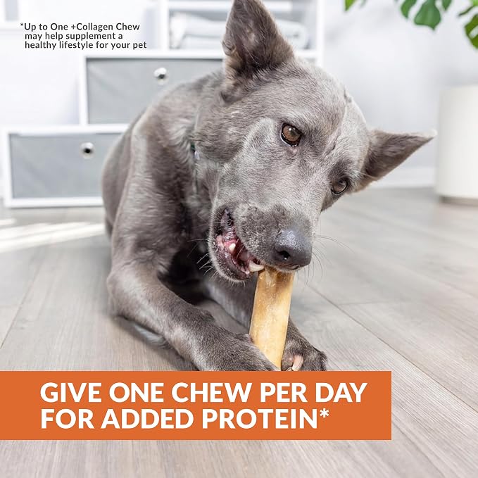 Wild Eats Turkey Flavor Collagen Cheek Rolls 10" 3pk, Pig Ear Substitute | Long lasting treats and bones for medium dogs, retriever style texture, 3 per bag, satisfies natural gnawing urges daily