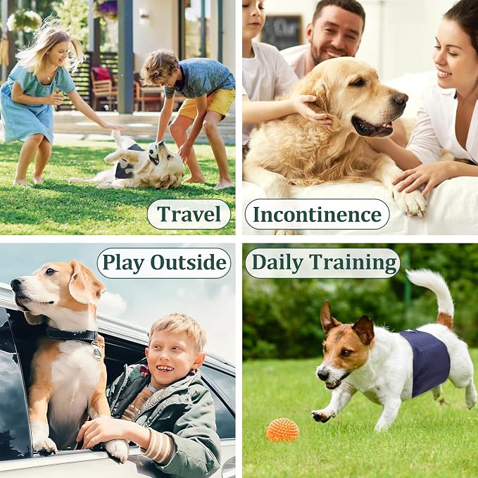 Reusable Dog Diapers Male, Premium Washable Belly Bands for Dogs, Pack of 5, High Absorbing Medium Dog Wraps for Doggie & Puppy in Incontinence or Excitable Urination and Training(M)
