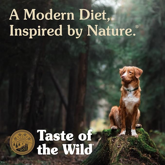 Taste of the Wild Southwest Canyon Wet Food Beef in Gravy 13.2oz Case of 12 | Puppy & Adult Dogs | Grain Free Recipe* | Complete & Balanced to Satisfy Finicky Dogs | Sweet Potatoes for All Day Energy
