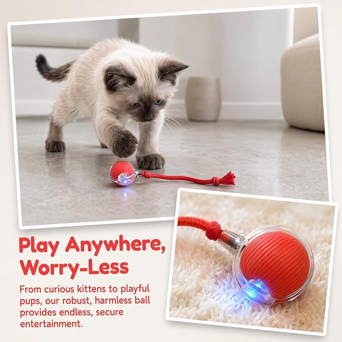 Interactive Cat Toy Ball, Smart Interactive Cat Toys, Smart Cat Toy for Enrichment, Motion Activated Automatic Cat Toys to Keep Them Busy (Red)