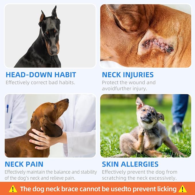 Dog Neck Brace for Pet After Surgery Recovery Adjustable Breathable Neck Cervical Cone，Dog Cone Collar Recovery Head Cone for Small Medium Dogs Puppies Kittens with Spinal IVDD Lssues (Gray,XL)