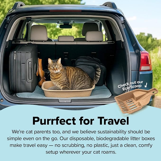 Kitty Sift (Set of 1 Litter Box & 5 Sifting Liners) Disposable Sifting Cat Litter Box Jumbo, 6 Count, Durable and Portable for Travel with Odor Control