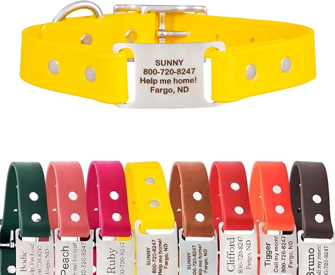 dogIDs Personalized Dog Collar – ScruffTag Custom Waterproof Biothane Dog Collar with Laser-Engraved Name, Durable & Odor-Resistant – USA Made | Yellow, 1 in x 20 in (Fits Neck Sizes 18-22 in)