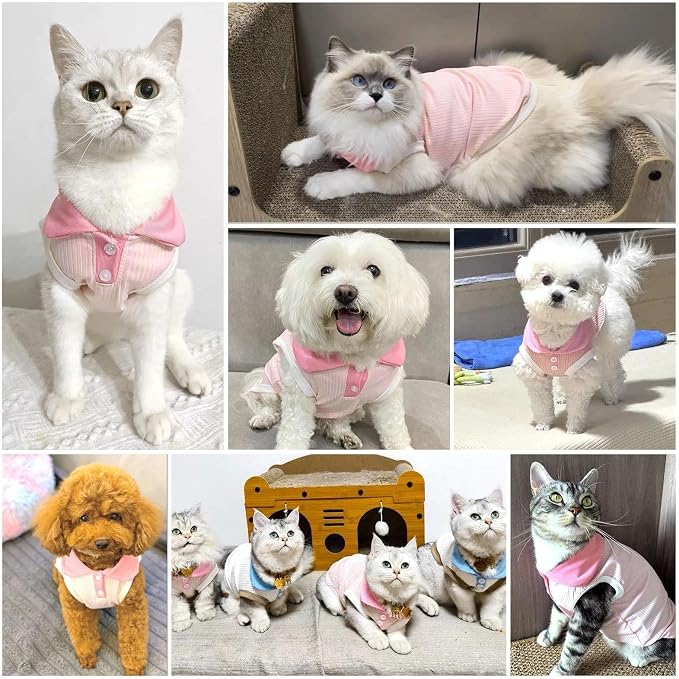 Dog Tshirts for Small Dogs Polo Shirt Stretchy Dog T Shirt Breathable Dogs Cooling Vest Girl Boy Puppy Dachshund French Bulldog Frenchie Chihuahua Clothes