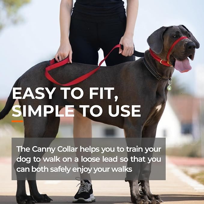Canny Gentle No-Pull Dog Training Head Collar to Stop Pulling Purple Size 6