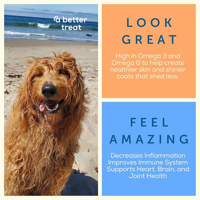 A Better Treat – Freeze Dried Salmon Dog Treats, Wild Caught, Single Ingredient | Natural High Value | Gluten Free, Grain Free, High Protein, Diabetic Friendly | Natural Fish Oil | Made in the USA