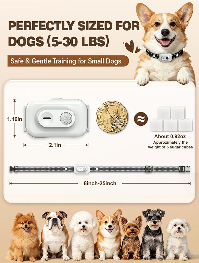 Small Dog Shock Collar with Remote - Specially Designed for Small Dogs 5-15 lbs, 5-30 lbs Puppies, Ultra-Light 0.92 Oz Dog Training Collar with Safe Beep Vibration Shock, IP67 Waterproof, Grey