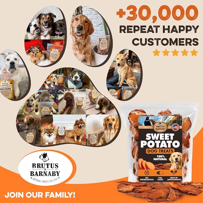 BRUTUS & BARNABY Dried Sweet Potato Dog Treats & Chews, Full Slices, 14 oz | Single ingredient, healthy, hypoallergenic; gentle on sensitive stomachs. Made in USA, thick cut for large breeds