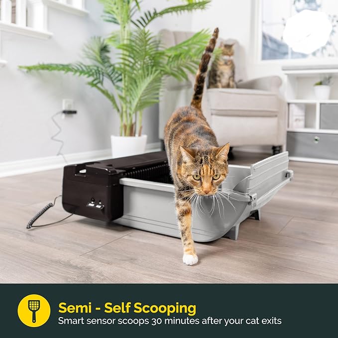 Pet Zone Smart Scoop Semi Automatic Self Cleaning Cat Litter Box, 6 Bags | Includes carbon filter for odor control, reduces daily hands on maintenance, suits up to two felines six to sixteen pounds
