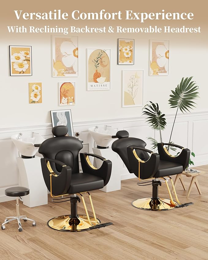 Baasha Ergonomic Reclining Hair Salon Chair, Gold Styling, Removable Headrest, 360 Swivel, Black