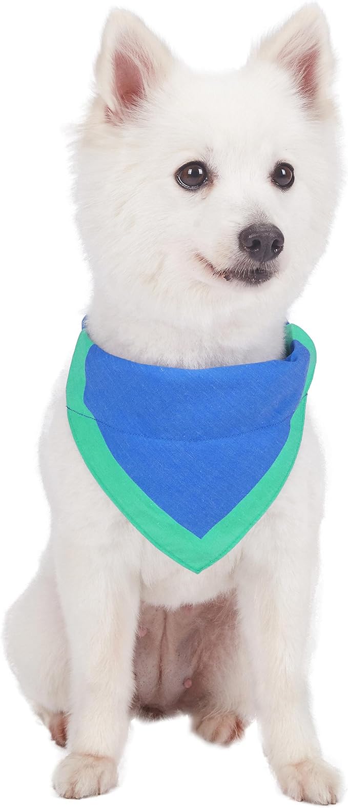 Blueberry Pet Laid Back Weekender Club Blue Cotton Blend Neckerchief Scarf Bandana Adjustable Dog Collar, Medium, Neck 14.5"-20"