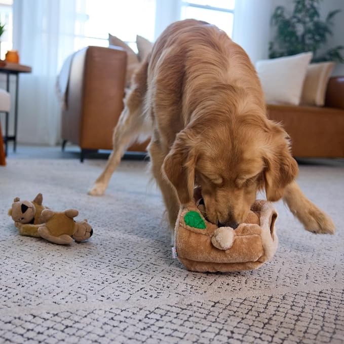 Outward Hound Hide-A-Squirrel Dog Toy – Interactive 2‑in‑1 Plush Puzzle with 3 Squeaky Removable Squirrels, Large (Pack of 12)
