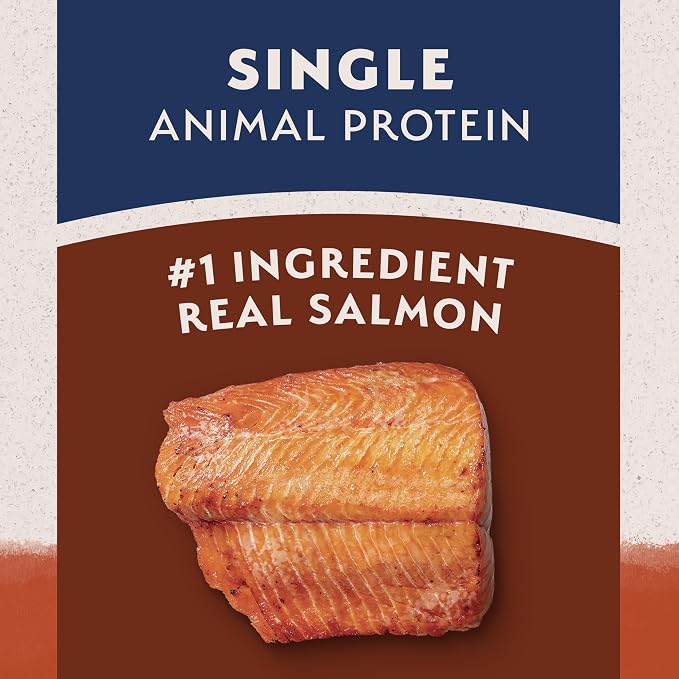 Natural Balance Limited Ingredient Adult Dry Dog Food - Balanced Nutrition for Adult Dogs - Grain-Free, Soy-Free Recipe - Limited Ingredient Formula - 24 lb - Salmon & Sweet Potato Recipe