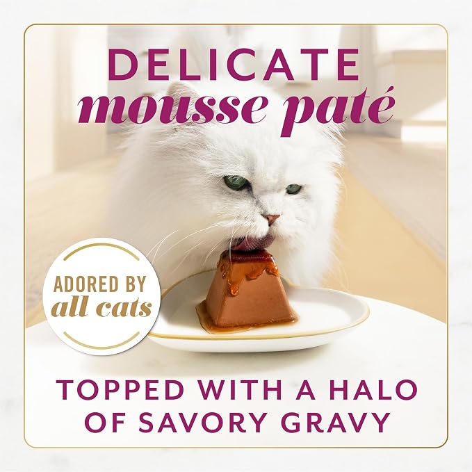Fancy Feast Gems Pate Cat Food Mousse with Beef and a Halo of Savory Gravy Cat Food - 4 oz. Boxes,(Pack of 16)