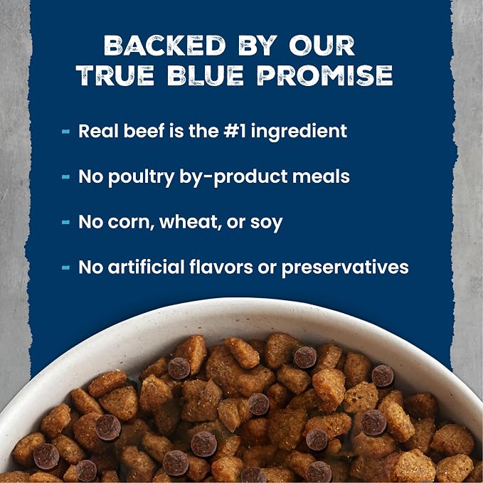 Blue Buffalo Wilderness Rocky Mountain Recipe Adult Dry Dog Food, 4.5 lb | 31g Protein, Real Beef #1 Ingredient, High Protein Red Meat with Wholesome Grains, Antioxidant-Rich Fruits & Veggies