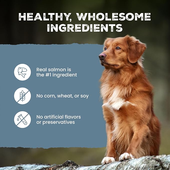 Blue Buffalo Wilderness Wild Bits Salmon Soft & Chewy Dog Treats, 10 oz | Real Salmon #1 Ingredient, High Protein & Grain-Free, Bite-Sized Training Treats Made with Natural Ingredients