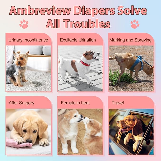Ambreview Disposable Dog Diapers Female, Just Pull It Up, L 10 PCS | Doggie Diapers for Female Dogs • Strong Absorbency • Leak-Proof Protection • Ideal for Dogs in Heat, Senior & Disabled Dogs