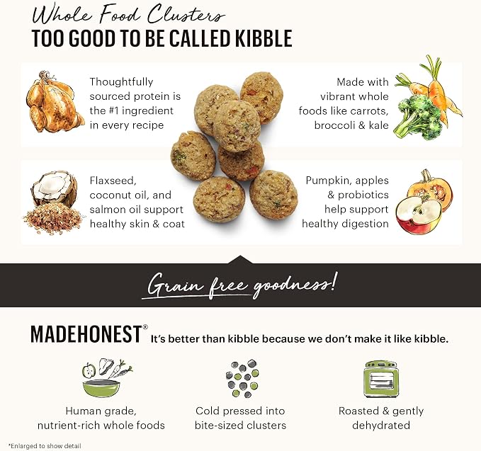 The Honest Kitchen Whole Food Clusters Grain Free Beef Dry Dog Food, 1 lb (Pack of 2)