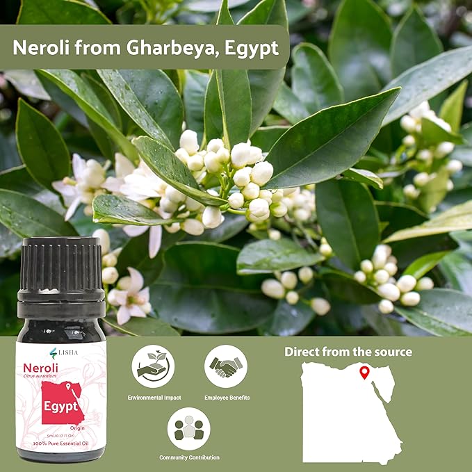 Neroli Essential Oil - Direct from Egyptian Nile Delta Farms - Steam Distilled - Aceite Azahar for Aromatherapy, Massage, Diffuser, DIY Candle and Soap Making - 8oz