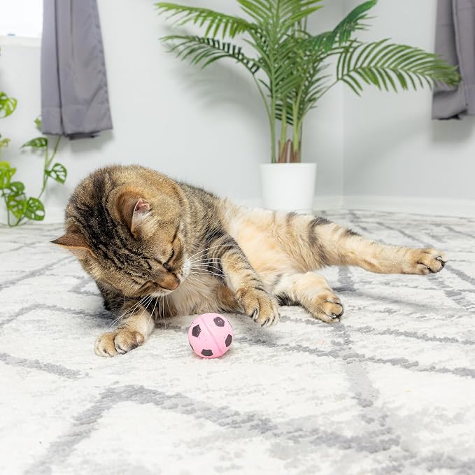 SPOT Sponge Soccer Ball Cat Toys for Cats and Kittens - Interactive and Colorful Plush Toy, Fun to Bat and Chase, Keep Cats Entertained - 1.5" Assorted 4-Pack