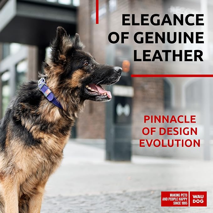 WAUDOG Long Lasting Leather Dog Collar for Large Dogs, Medium & Small Dogs - Adjustable Classic Puppy Collars for Large Breed Dogs - Boy & Girl Dog Collars with Durable Buckle, D-Ring & QR Dog Tag