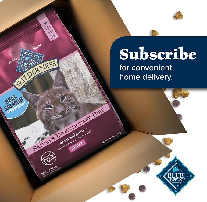 Blue Buffalo Wilderness Salmon Adult Dry Cat Food, Grain-Free, 11 lb | Real Salmon #1 Ingredient, High Protein Nutrition, Supports Immunity with Antioxidant-Rich LifeSource Bits