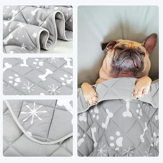 wegreeco Pet Dog Cooling Mat for Cats, Lightweight Bed Outdoor Cooling Blanket for Dogs and Cats, Small Medium Large Puppy Cool Pad for Dogs, Small Bones Small