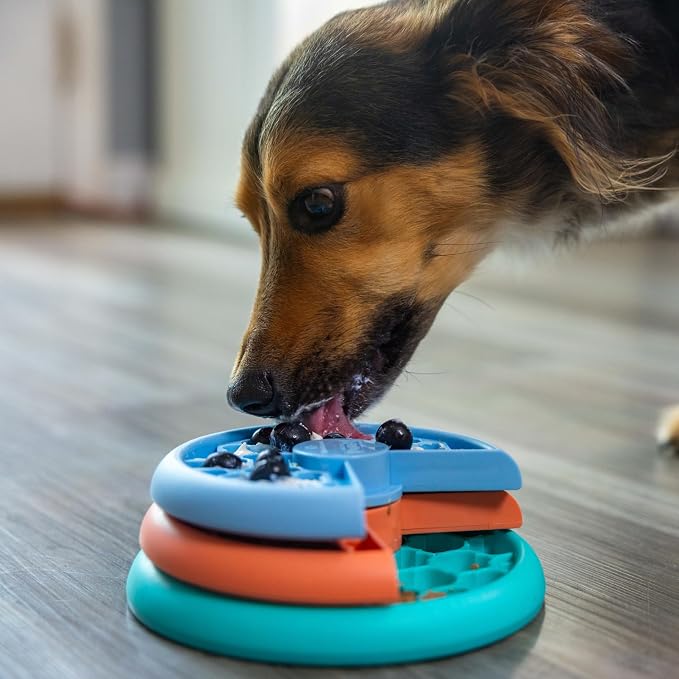Outward Hound Nina Ottosson Lickin’ Layers 3-in-1 Dog Toy Treat Puzzle, 7" | Level 2 Intermediate, Interactive Slow Feeder, Lick Mat, Treat Puzzle, Holds 1 Cup Food, Non-Slip Base, Small Dogs & Puppies