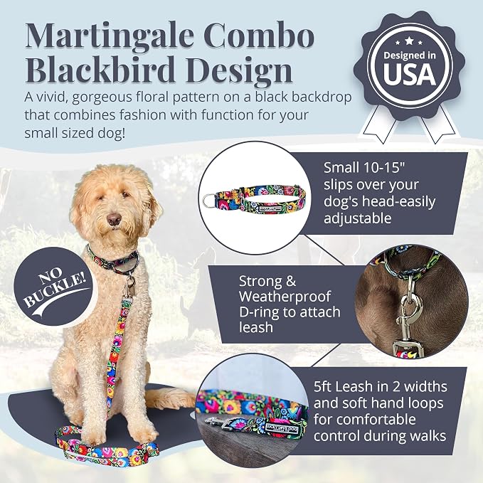 Lucky Love Dog Martingale Collar & Leash Set No Slip – Blackbird, Small