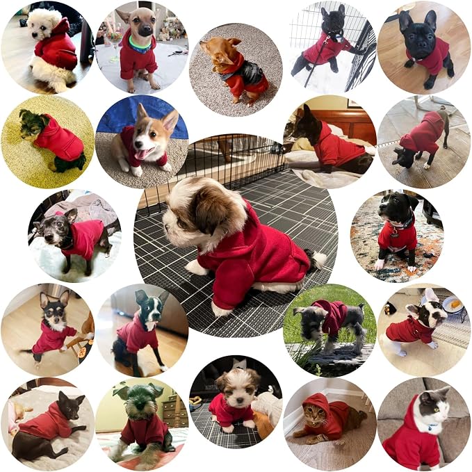 Soft Dog Hoodies for Small Dogs, Warm Fleece Puppy Clothes with Pocket | Jecikelon cold weather coat, cute puppy costume, breathable sweatshirt for dogs girl & boy, machine washable, easy on & off
