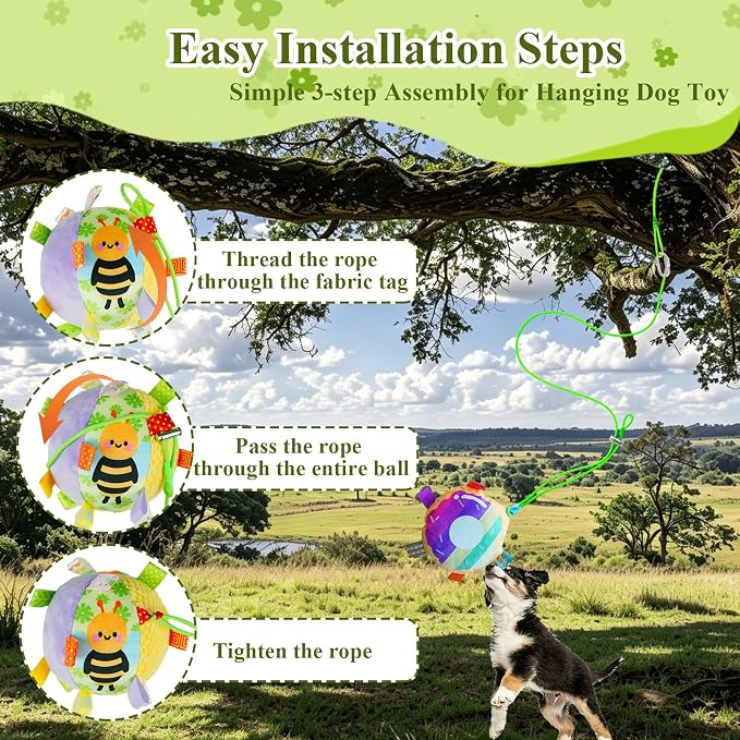 Colorful Squeaky Hanging Dog Toy with Suction Cup for Small Dogs | Bungee Tether, Crinkle Bell Ball, Bouncing Self-Play Toy, Door Frame Mounted, Interactive Fetch for Puppy Teething & Exercise
